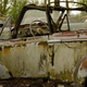 Illustration for article titled Another Massive Secret Vintage Junkyard Comes Under Fire